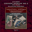 Schubert: 6 Grandes marches, D. 819: No. 3 in B Minor. Allegretto (Arr. Pauer for 4 Pianos) | Multipiano Ensemble