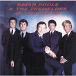Do You Love Me | Brian Poole & The Tremeloes