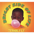 Bright Side Of Life | Tenor Fly