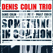 Something In Common | Denis Colin