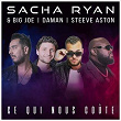 Ce qui nous coûte | Sacha Ryan