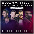 Ce qui nous coûte (Laurent Veix Remix) | Sacha Ryan