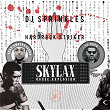 Skylax House Explosion | Dj Sprinkles