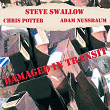 Damaged In Transit | Steve Swallow