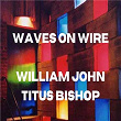 Waves on Wire | William John Titus Bishop