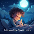 Lullabies of the Moonlit Garden | Sleepy Sky Music