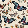 Falene | Mani Di Farfalle
