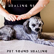 Healing Beings | Pet Sound Healing