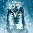 Animals | Dmac Productions