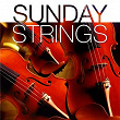 Sunday Strings | The New 101 Strings Orchestra