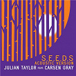 Seeds | Julian Taylor