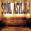 Black Gold: The Best Of Soul Asylum | Soul Asylum