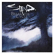 Break the Cycle | Staind
