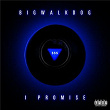 I Promise | Bigwalkdog