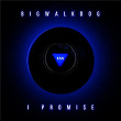 I Promise | Bigwalkdog