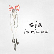 I'm Still Here | Sia