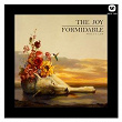 Wolf's Law | The Joy Formidable