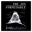 Cradle | The Joy Formidable