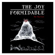 The Big More | The Joy Formidable