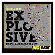 Your Love Is Explosive (feat. Sue Cho) | Dj Bam Bam