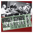 Surrender To The Rhythm | Brinsley Schwarz