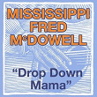 Drop Down Mama (The Blues Roll On) | Mississippi Fred Mc Dowell