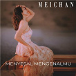 Menyesal Mengenalmu | Meichan