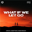 What If We Let Go (feat. Sam Welch) | Leduc & Bastyan