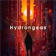 Hydrangeas | Ns Records