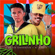 Grilinho | Victor Sanfoneiro & Mc Mingau