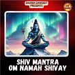 Shiv Mantra Om Namah Shivay | Gurmeet Singh