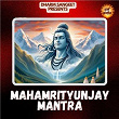 Mahamrityunjay Mantra | Gurmeet Singh