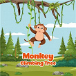 Monkey Climbing Tree | Lalatv