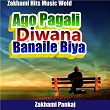 Ago Pagali Diwana Banaile Biya | Zakhami Pankaj, Rahul Kumar Das & Zakhami Hits Music World