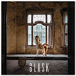 Blask | Klaudia Zak, 4money