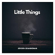 Little Things | Jeroen Granneman