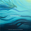 Questions | Lisette Van De Pavoordt