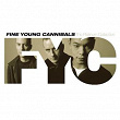 The Platinum Collection | Fine Young Cannibals