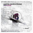 Deep Luv | Santos, David Gtronic