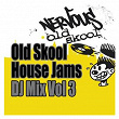 Old Skool House Jams - DJ Mix Vol 3 | Radical Nomads, Roy Davis Jr.