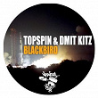 Blackbird | Topspin, Dmit Kitz