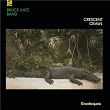 Crescent Crawl | Bruce Katz Band