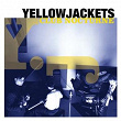 Club Nocturne | The Yellowjackets