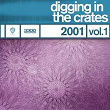 Digging In The Crates: 2001 Vol. 1 | Orgy