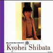 Big Artist Best Collection Kyohei Shibata | Kyohei Shibata