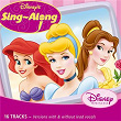 Disney's Sing-A-Long - Princess Volume 1 | Amy Baker Stinson