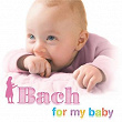 Bach For My Baby | Maria Tipo