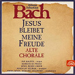 Bach: Jesus bleibet meine Freude | Bambini Di Praga, Bohumil Kulínský, Jan Kalfus, Miroslav Kejmar