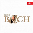 Best of Bach | Jirí Reinberger