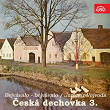 Ceská Dechovka, Vol. 3 (Jaromír Vejvoda Bejvávalo - Bejvávalo) | Jindrich Bauer, Dechová Hudba